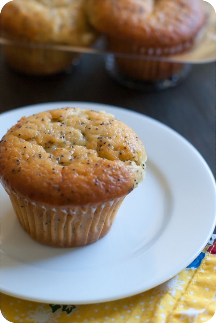 Sweet on Trader Joe's Greek Yogurt Lemon Poppy Seed Muffins Bake at 350°